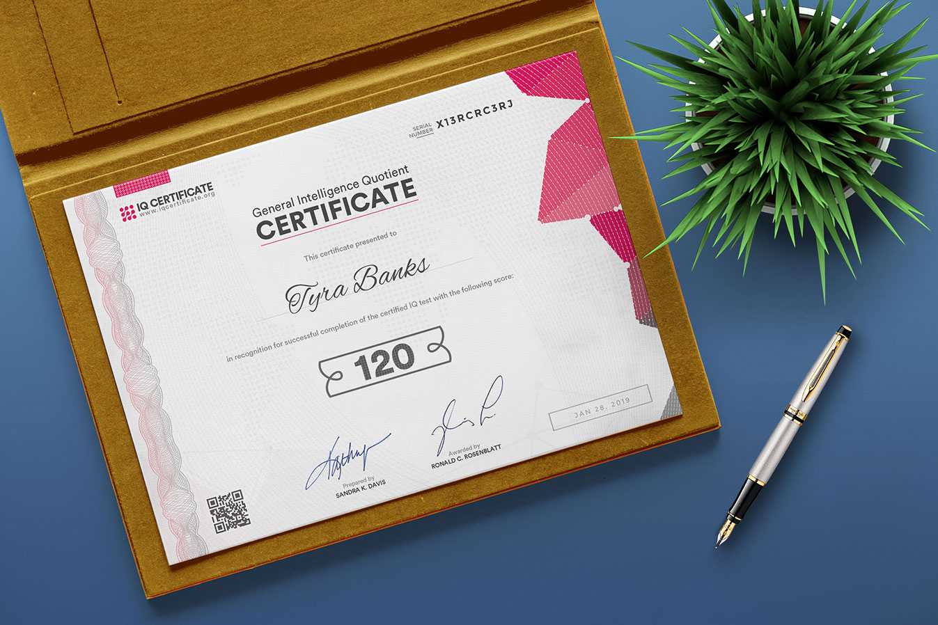 Sample Iq Certificate – Get Your Iq Certificate! For Iq Certificate Template