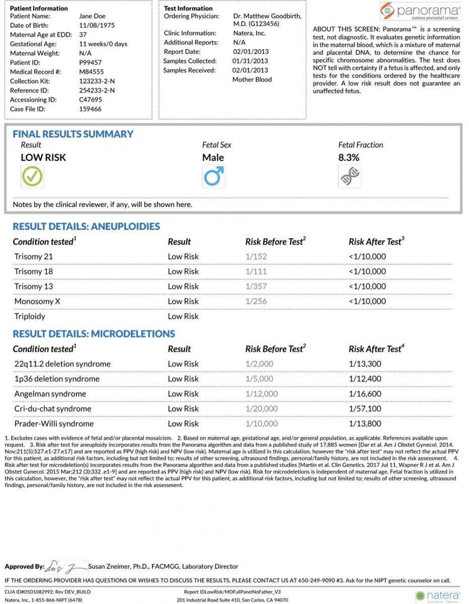 Sample Report Examples For Panorama For Dr Test Report Template