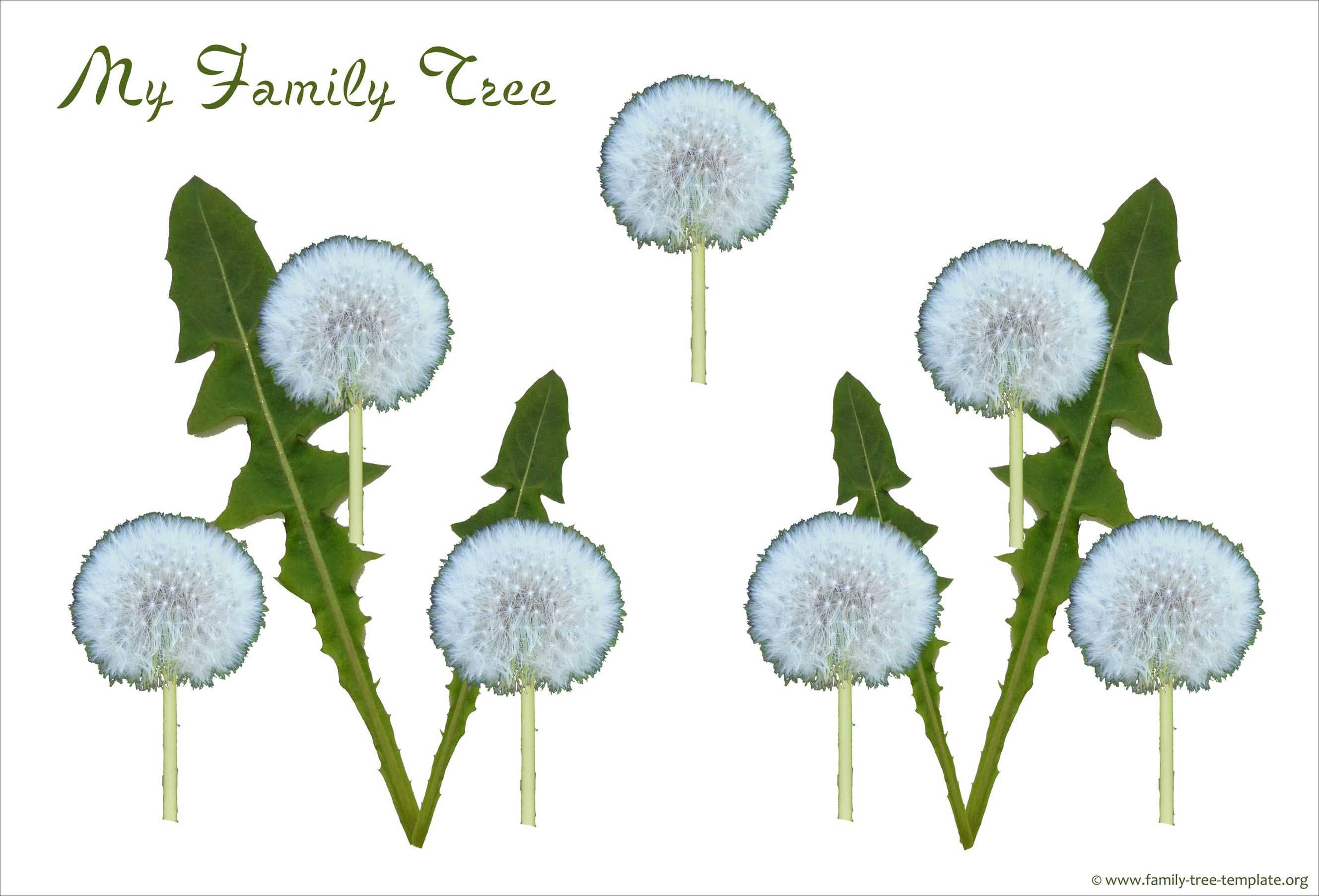 Simple Family Tree With 3 Generations For The Small Child With Blank Family Tree Template 3 Generations