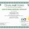 Six Sigma Black Belt Certificate Template – Carlynstudio For Green Belt Certificate Template