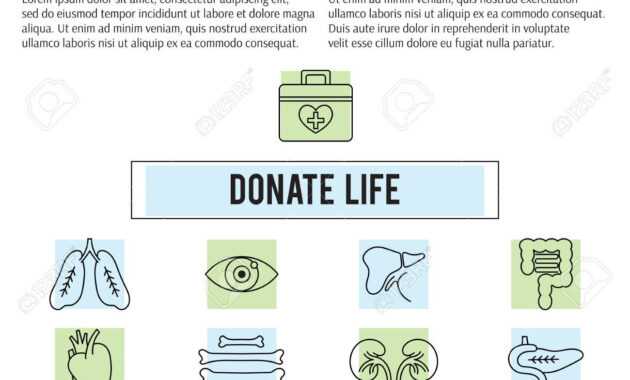 Square Banner Template. Organ Donation Thin Line Icons. Donate.. inside Organ Donor Card Template