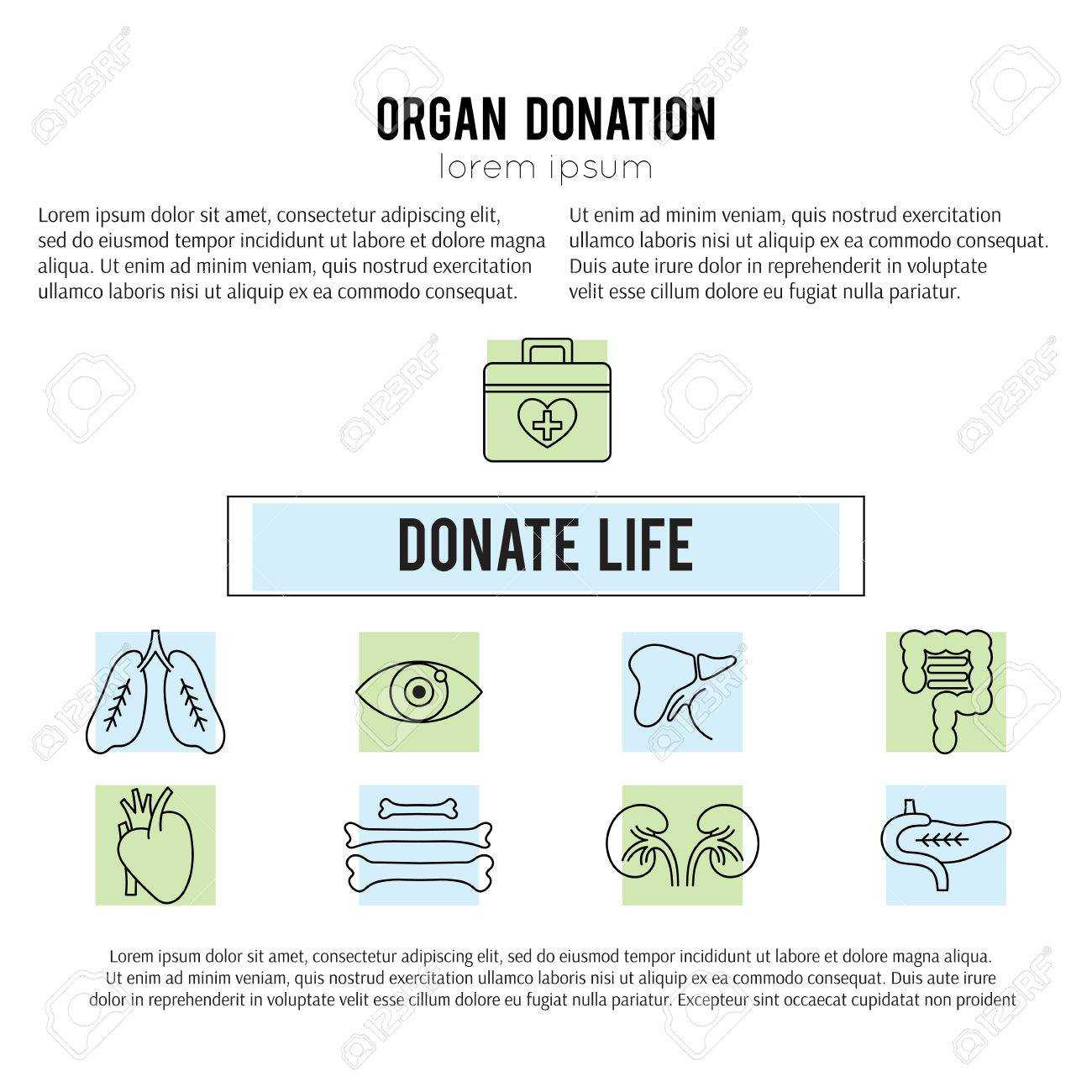 Square Banner Template. Organ Donation Thin Line Icons. Donate.. Inside Organ Donor Card Template