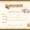 Teddy Bear Birth Certificate | Teddy Bear Tea | Birth With Baby Doll Birth Certificate Template