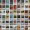 The Graphic Design For Magic, The Gathering Card Frames throughout Magic The Gathering Card Template The Graphic Design For Magic, The Gathering Card Frames Throughout Magic The Gathering Card Template