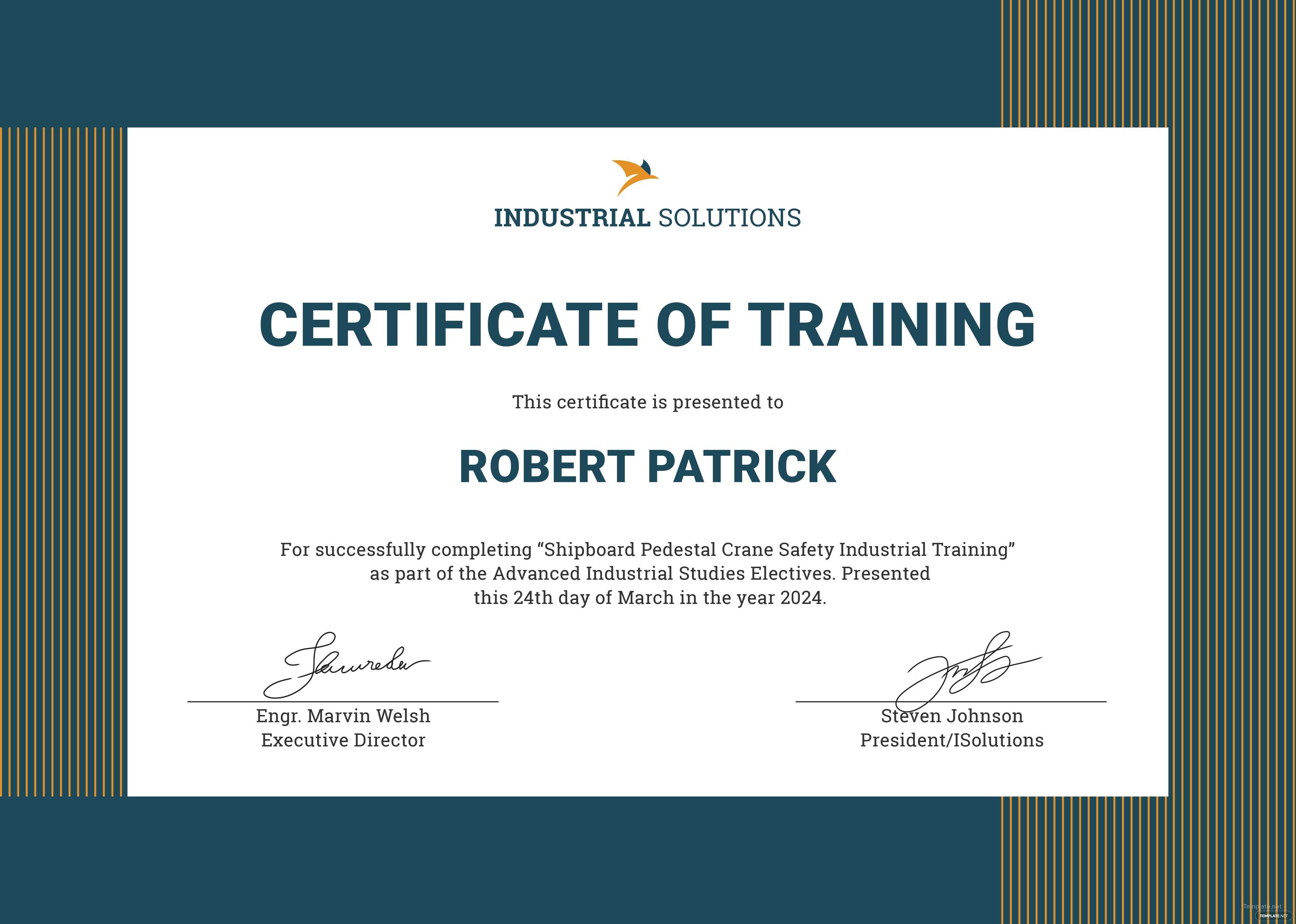 Training Certificate Template Software – Qiux With Regard To Template For Training Certificate