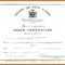 Translation Of Birth Certificate Template – Verypage.co in Novelty Birth Certificate Template