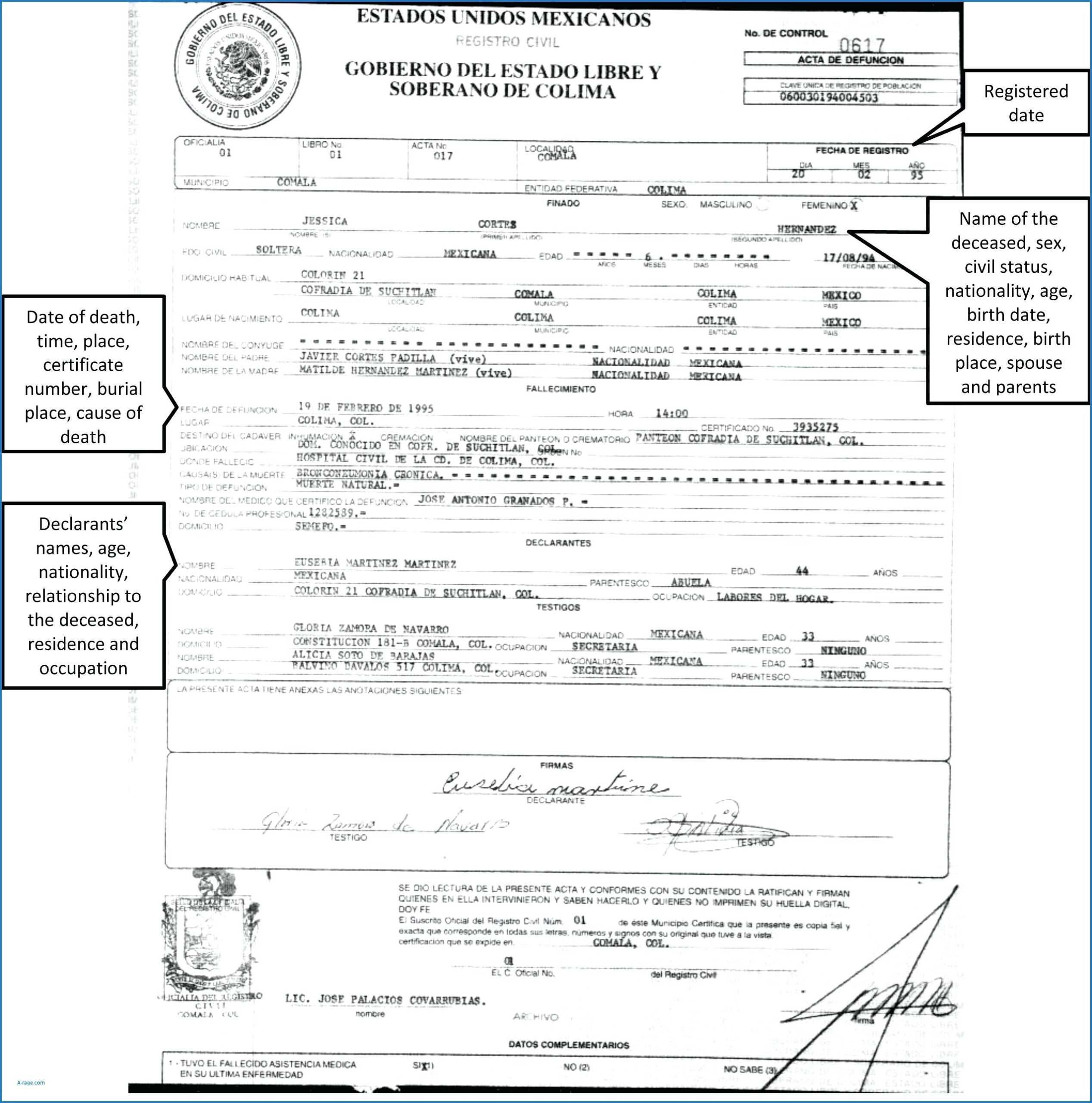 Translation Of Birth Certificate Template – Verypage.co Regarding Novelty Birth Certificate Template