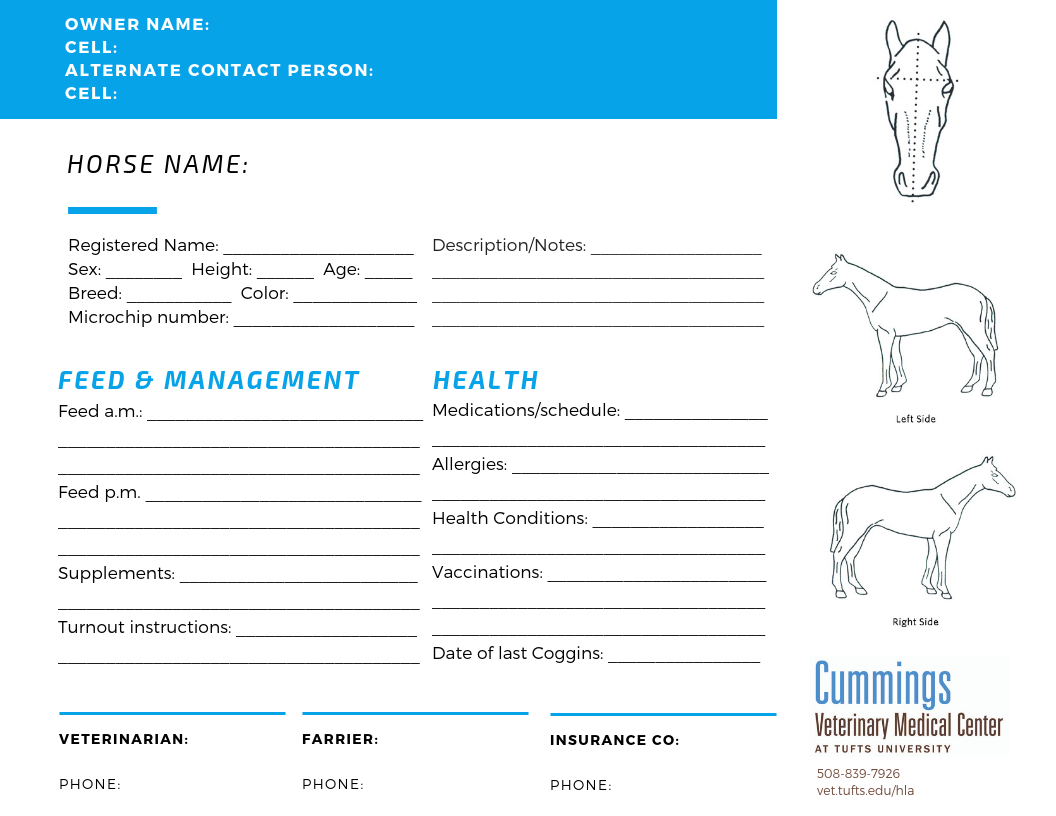 Travel Confidently | News At Cummings School Of Veterinary With Regard To Horse Stall Card Template