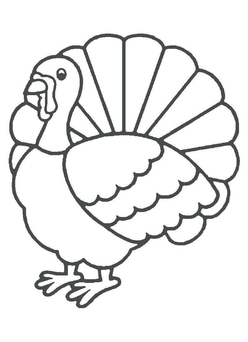 Turkey Drawing To Color At Paintingvalley | Explore In Blank Turkey Template