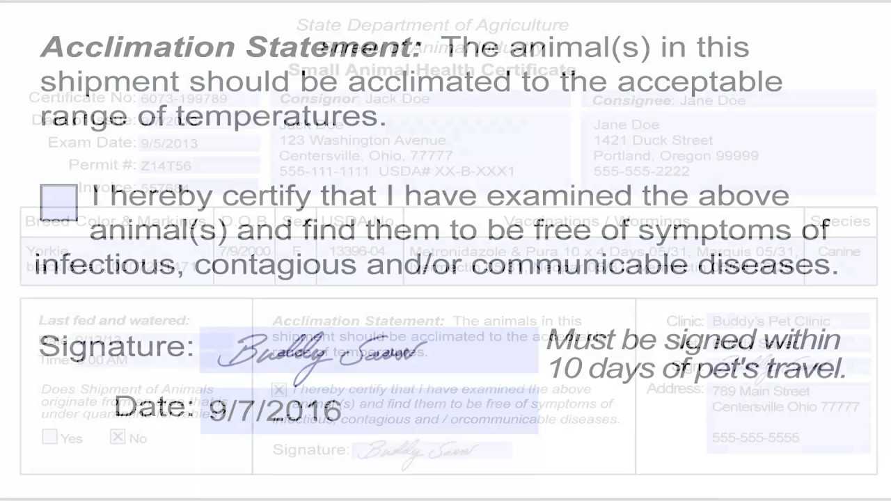 Usda Aphis | Travel Documentation – Health And Acclimation With Regard To Veterinary Health Certificate Template