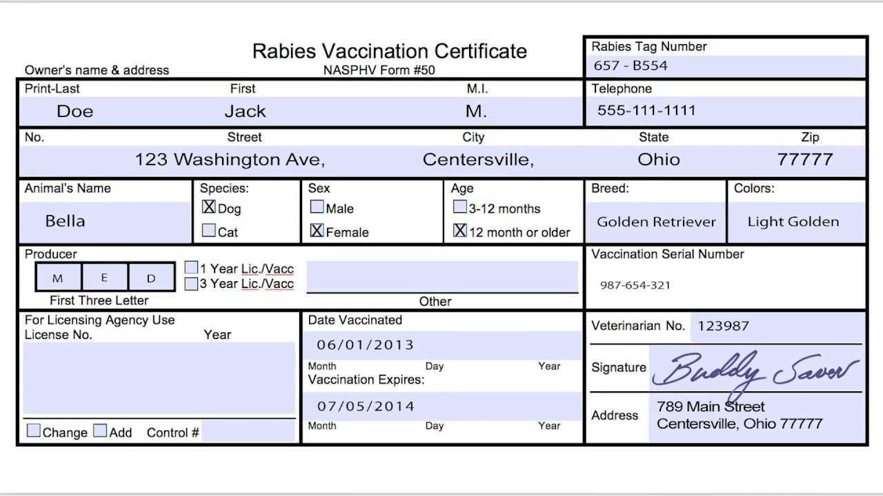 Usda Aphis | Travel Documentation – Rabies Vaccination Throughout Rabies Vaccine Certificate Template