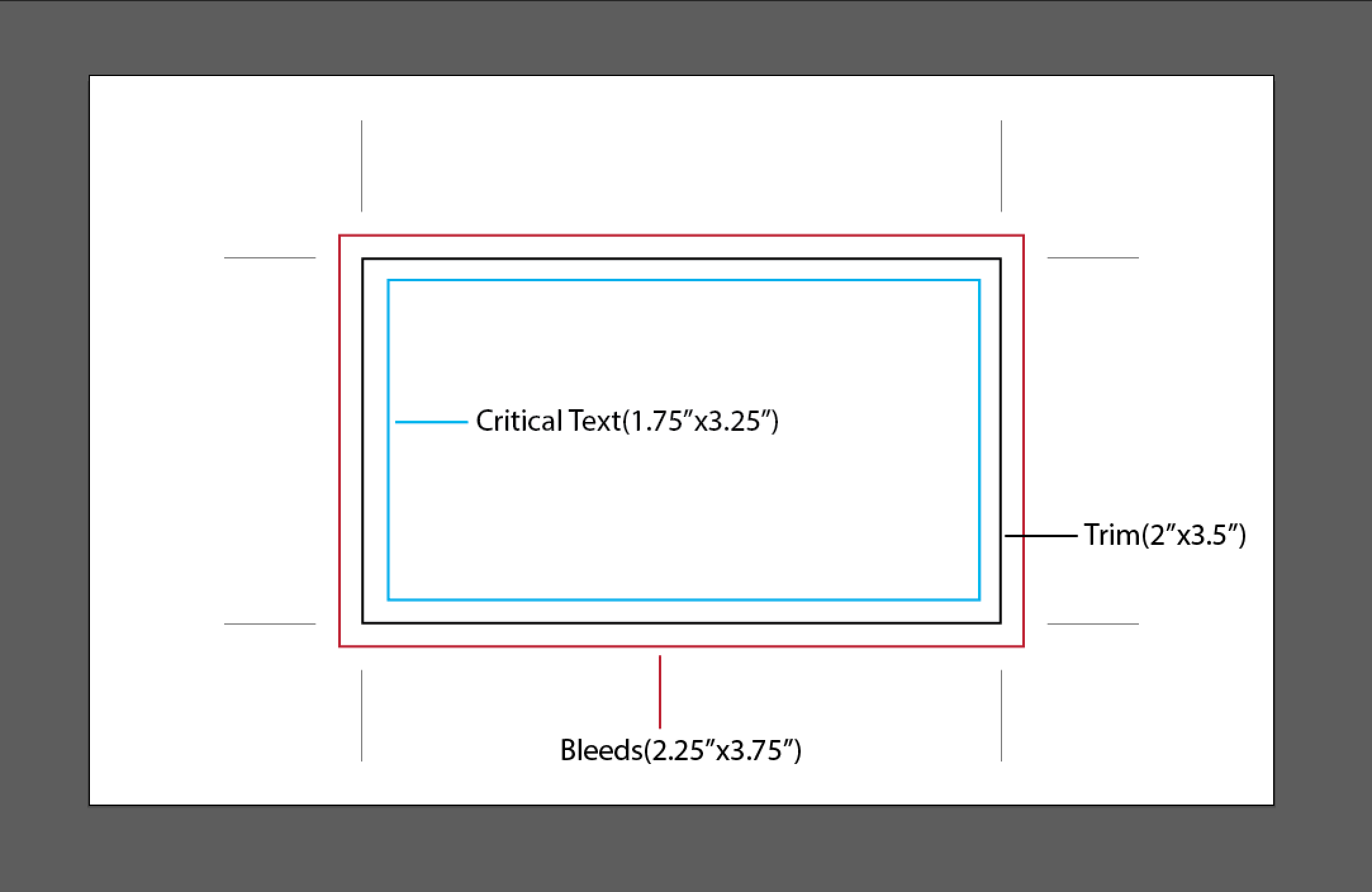 What Is The Size Of A Business Card? With Business Card Size Photoshop Template