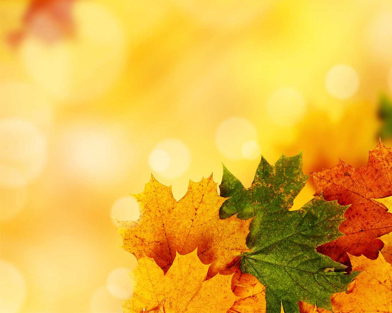 Yellow Autumn Backgrounds For Powerpoint – Nature Ppt Templates Within Free Fall Powerpoint Templates