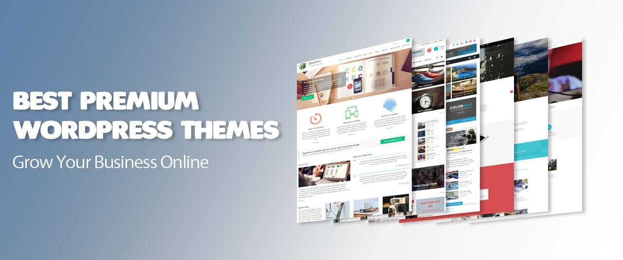 Best Premium WordPress Themes1